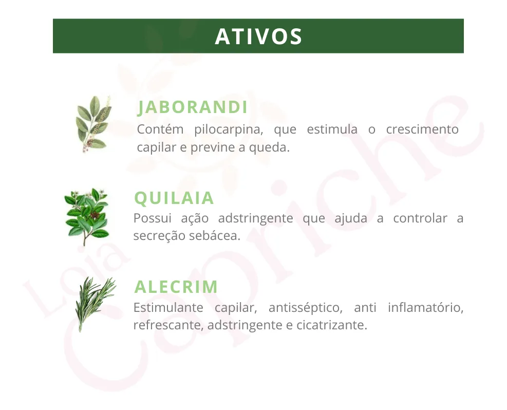 Imagem 9 de 10 de Kit Antiqueda Jaborandi 5 Produtos Bio Extratus