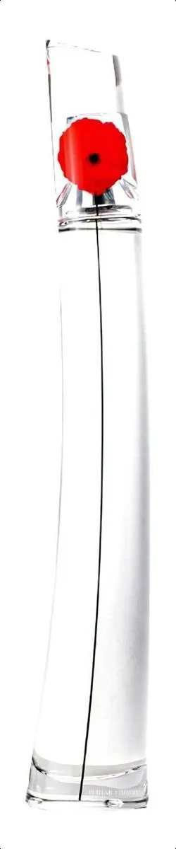 Imagem 1 de 12 de Perfume Feminino Flower by Kenzo EDP 100ml