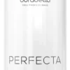 Imagem 1 de 6 de Creme Borabella Perfecta Bio Definitive antifrizz de 1L