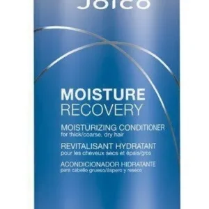 Imagem 1 de 1 de CONDICIONADOR HIDRATANTE PARA CABELOS RESSECADOS JOICO MOISTURE RECOVERY 1000 ml